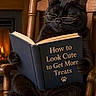 Odin joined the competition — help win amazing prizes! animal, black_cat, book, cat, chair, comedy, cozy, cute, feline, fireplace, glasses, home, humor, indoors, literature, pet, portrait, reading, relaxing, wooden_chair