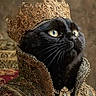 Odin is registered to the contest to win money with this photo: animal, black_cat, cat, closeup, costume, crown, decorative, elegant, embroidery, feline, gold, indoor, luxury, majestic, necklace, ornate, portrait, regal, royalty, serious