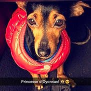 Fifille a rejoint le concours — aidez-le/la à gagner de superbes lots !