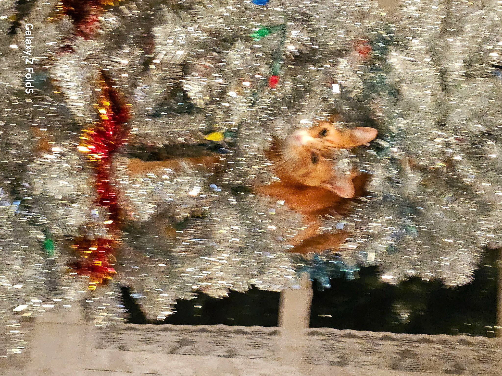 Piston joined the competition — help win amazing prizes! autumn, branch, event, fawn, fountain, freezing, frost, fun, fur, grass, leisure, plant, recreation, reflection, shadow, sky, toy, tree, window, winter