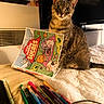 cat, tabby_cat, bed, children_book, pens, colorful, tablet, television, indoor, pet, curious, feline, domestic_animal, quilt, writing_tools, electronics, background, warm_lighting, still_life, resting