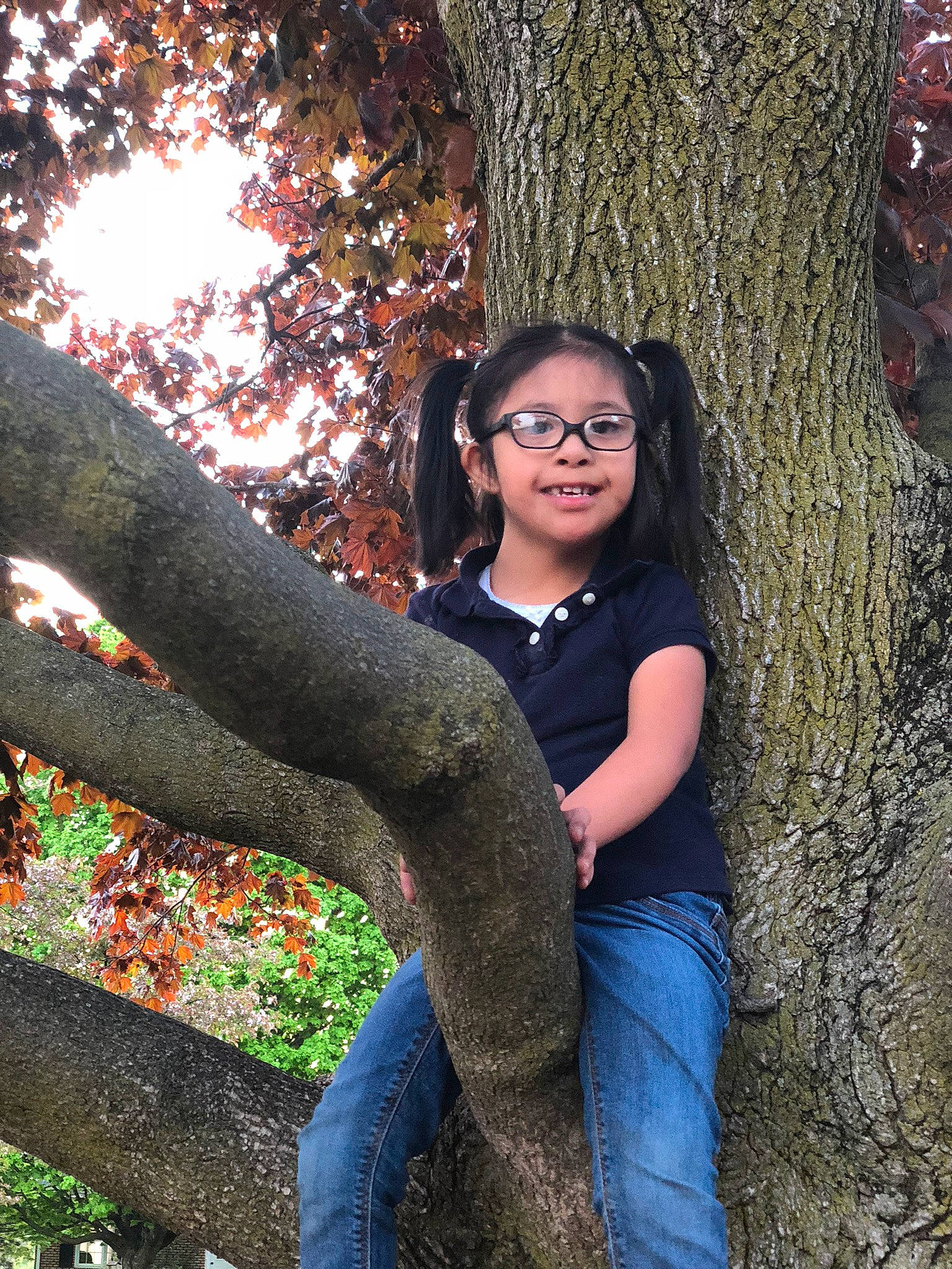 Fanie joined the competition — help win amazing prizes! adaptation, beauty, botany, branch, fun, happy, jeans, joy, lady, leaf, leg, long_hair, people_in_nature, person, photograph, photography, plant, sitting, smile, tree