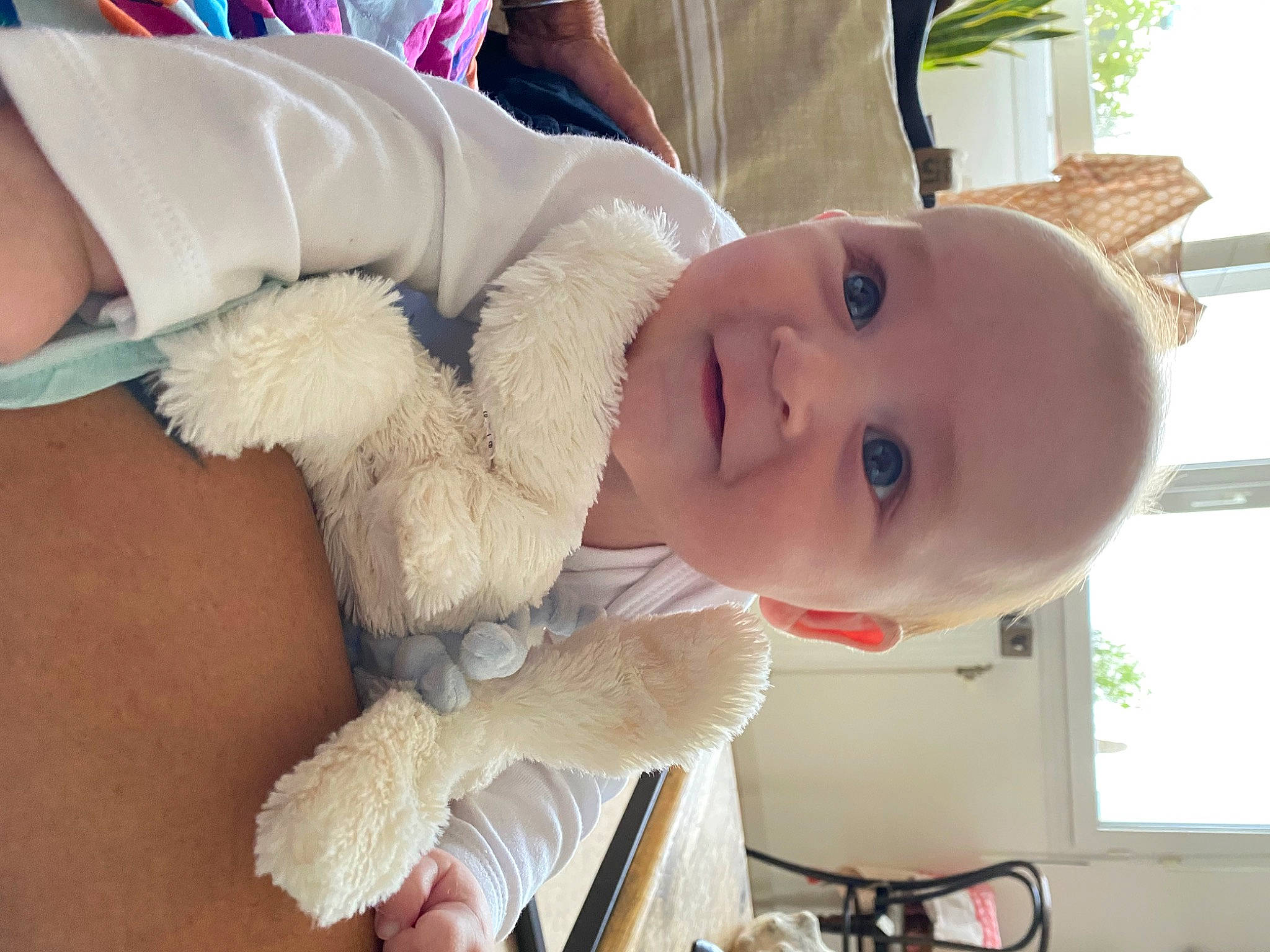 Elyam participe au concours pour gagner de l'argent avec cette photo : baby, baby_toddler_clothing, cheek, child, ear, eye, eyelash, fur, gesture, happy, iris, joy, nose, person, plant, room, skin, smile, toddler, tree