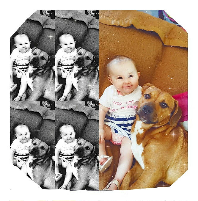 Djenna participe au concours pour gagner de l'argent avec cette photo : baby, carnivore, child, comfort, companion_dog, dog, dog_breed, dog_supply, facial_expression, fawn, happy, human, joy, mammal, person, photograph, shorts, smile, t_shirt, toddler