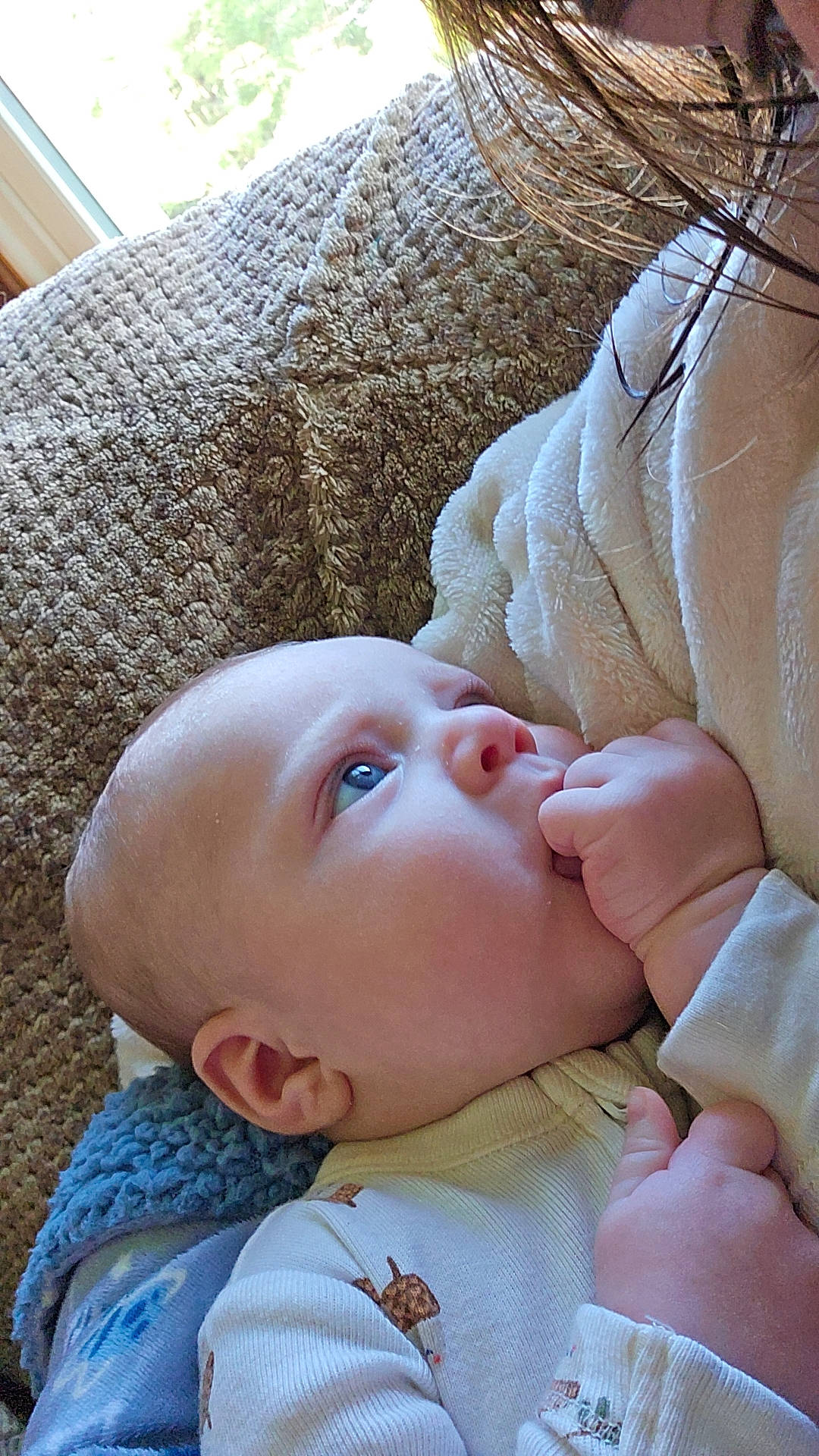 Waylon is registered to the contest to win money with this photo: art, baby, baby_toddler_clothing, cheek, child, comfort, couch, eyelash, finger, grass, head, lip, nose, pattern, person, skin, textile, toddler, tree, wood