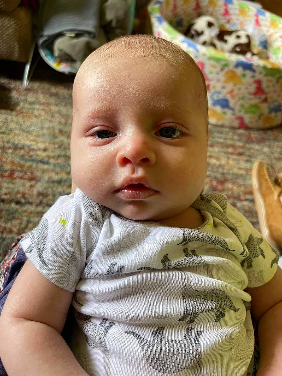 Waylon is registered to the contest to win money with this photo: baby, baby_toddler_clothing, cheek, child, collar, comfort, eye, eyelash, grass, happy, iris, lip, nose, pattern, person, sitting, skin, sleeve, smile, t_shirt