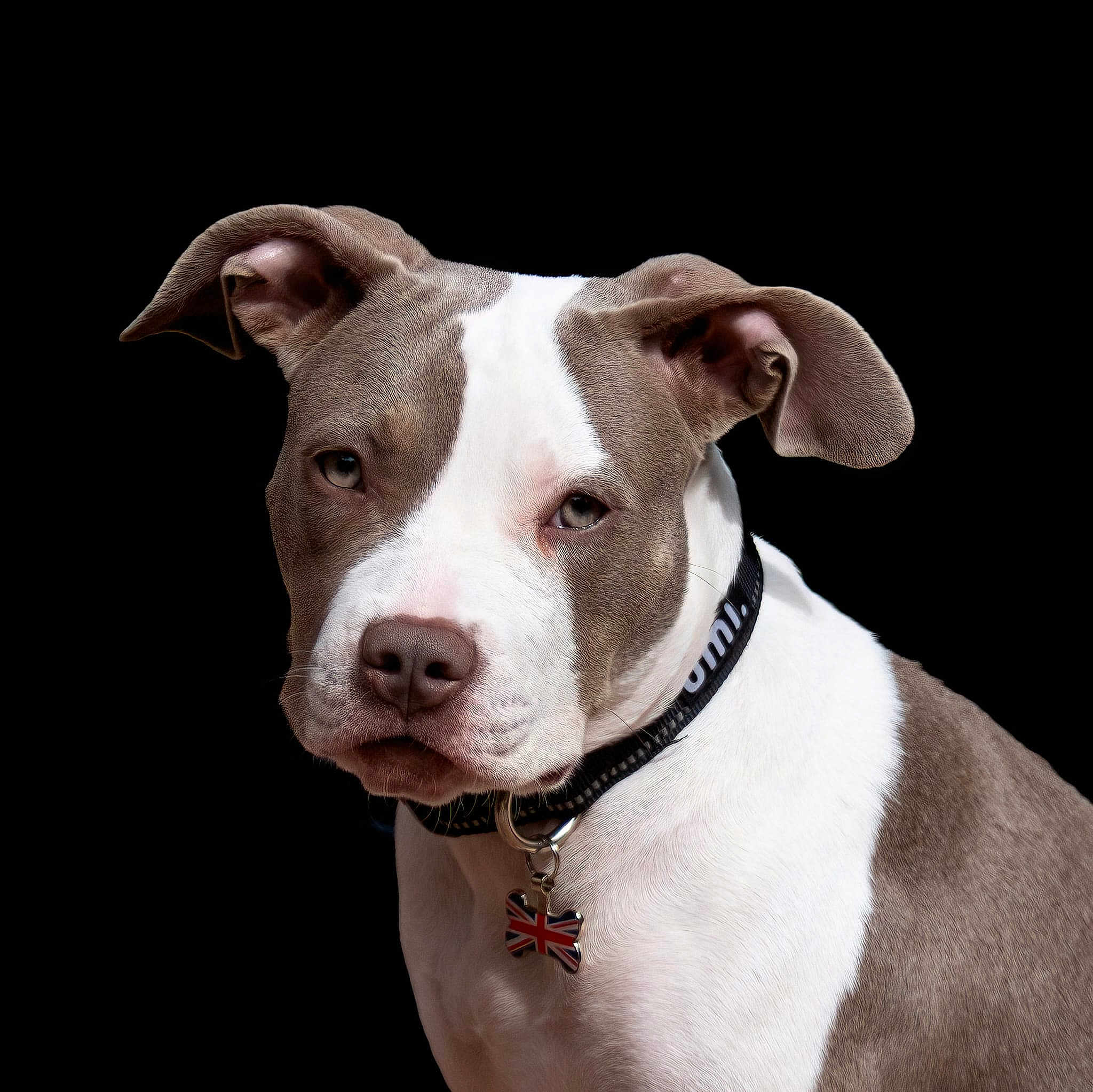 Tia