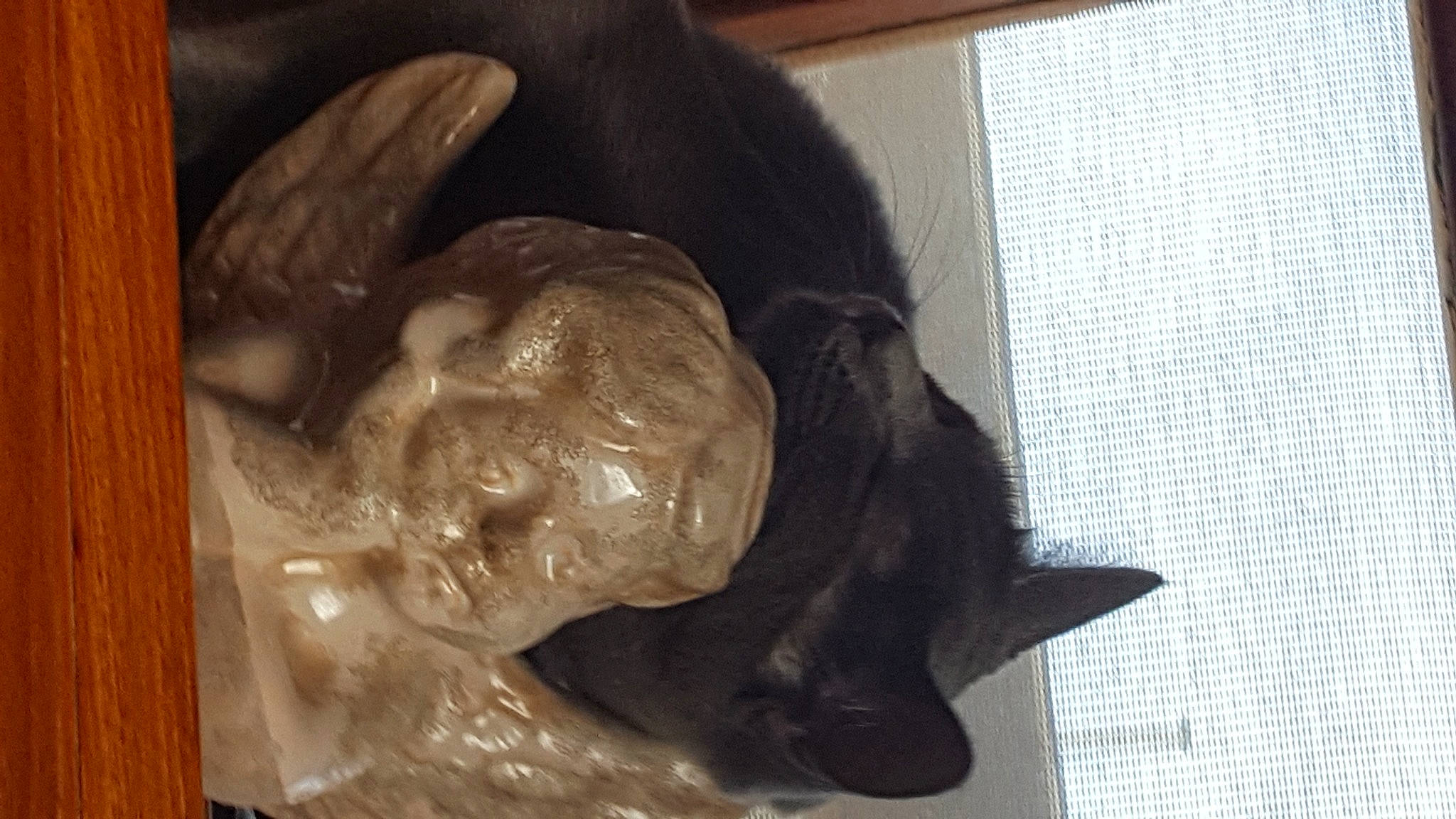 Miss participe au concours pour gagner de l'argent avec cette photo : art, artifact, bronze_sculpture, canidae, companion_dog, dog_breed, ear, felidae, gesture, jaw, liver, sculpture, small_to_medium_sized_cats, snout, sporting_group, statue, tail, wood, working_animal, wrinkle