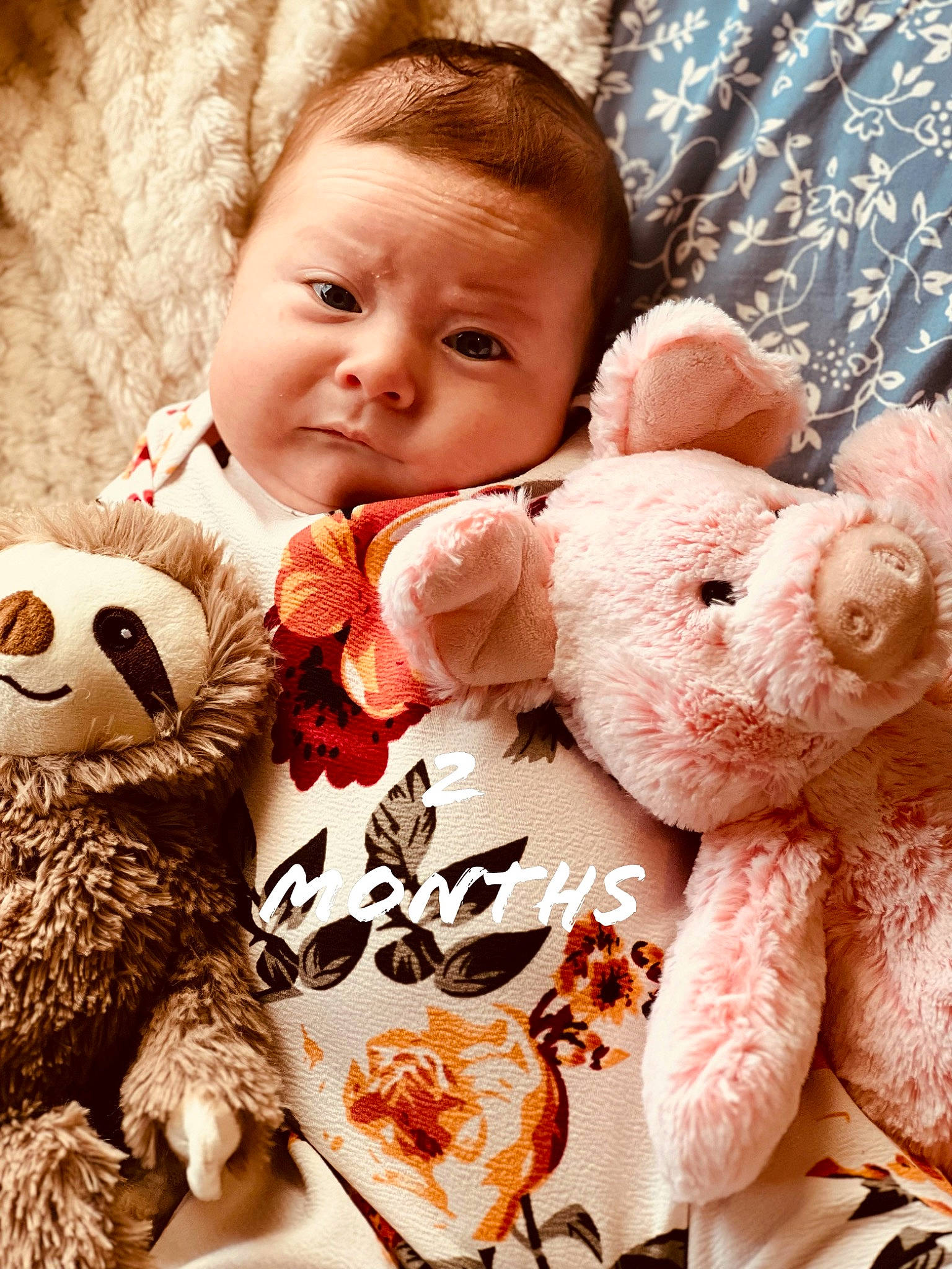 Lila joined the competition — help win amazing prizes! baby, baby_toddler_clothing, cheek, child, comfort, fur, happy, linens, mammal, pattern, person, plush, product, skin, stuffed_toy, teddy_bear, textile, toddler, toy, vertebrate