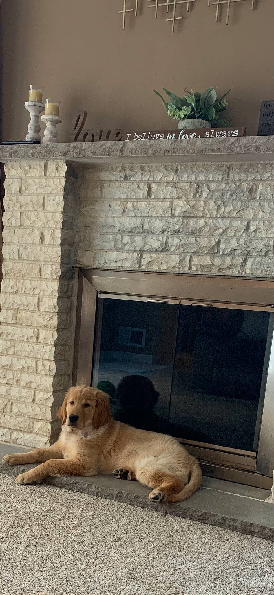 Brodie Dunkin Russo is registered to the contest to win money with this photo: canidae, carnivore, companion_dog, dog, dog_breed, door, fawn, fixture, floor, flooring, home_door, limestone, mammal, molding, retriever, sporting_group, stone_wall, vertebrate, wall, working_animal