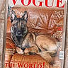 animal_face, brown_tone, closeup, cover_photo, cozy, dog, fashion_magazine, furniture, german_shepherd, indoor, leather_couch, magazine_cover, paws, pet, portrait, relaxed, sitting, text_overlay_style, typography, vogue_style
