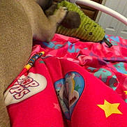 Chloe Sue joined the competition — help win amazing prizes! carmine, close_up, elbow, fashion_accessory, foot, hand, human_body, human_leg, knee, linens, nail, pattern, product, sleeve, sock, temporary_tattoo, textile, thigh, thumb, wrist