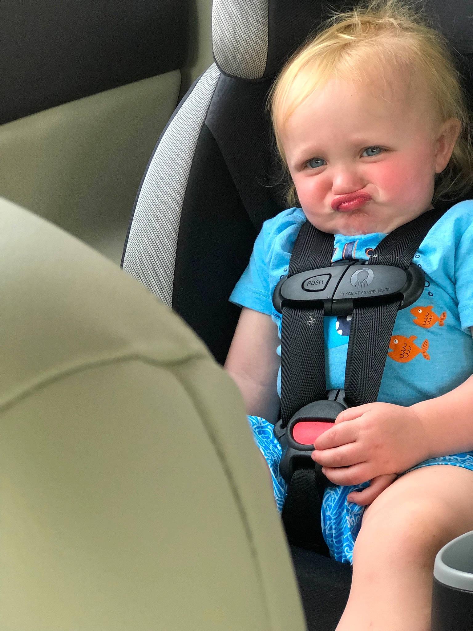 Brayson joined the competition — help win amazing prizes! auto_part, baby, baby_in_car_seat, baby_products, car, car_seat, car_seat_cover, child, head_restraint, neck, person, seat_belt, toddler, vehicle