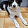 Pixelle