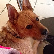 Gino a rejoint le concours — aidez-le/la à gagner de superbes lots !