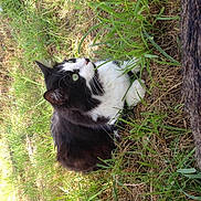 Frimouss a rejoint le concours — aidez-le/la à gagner de superbes lots !