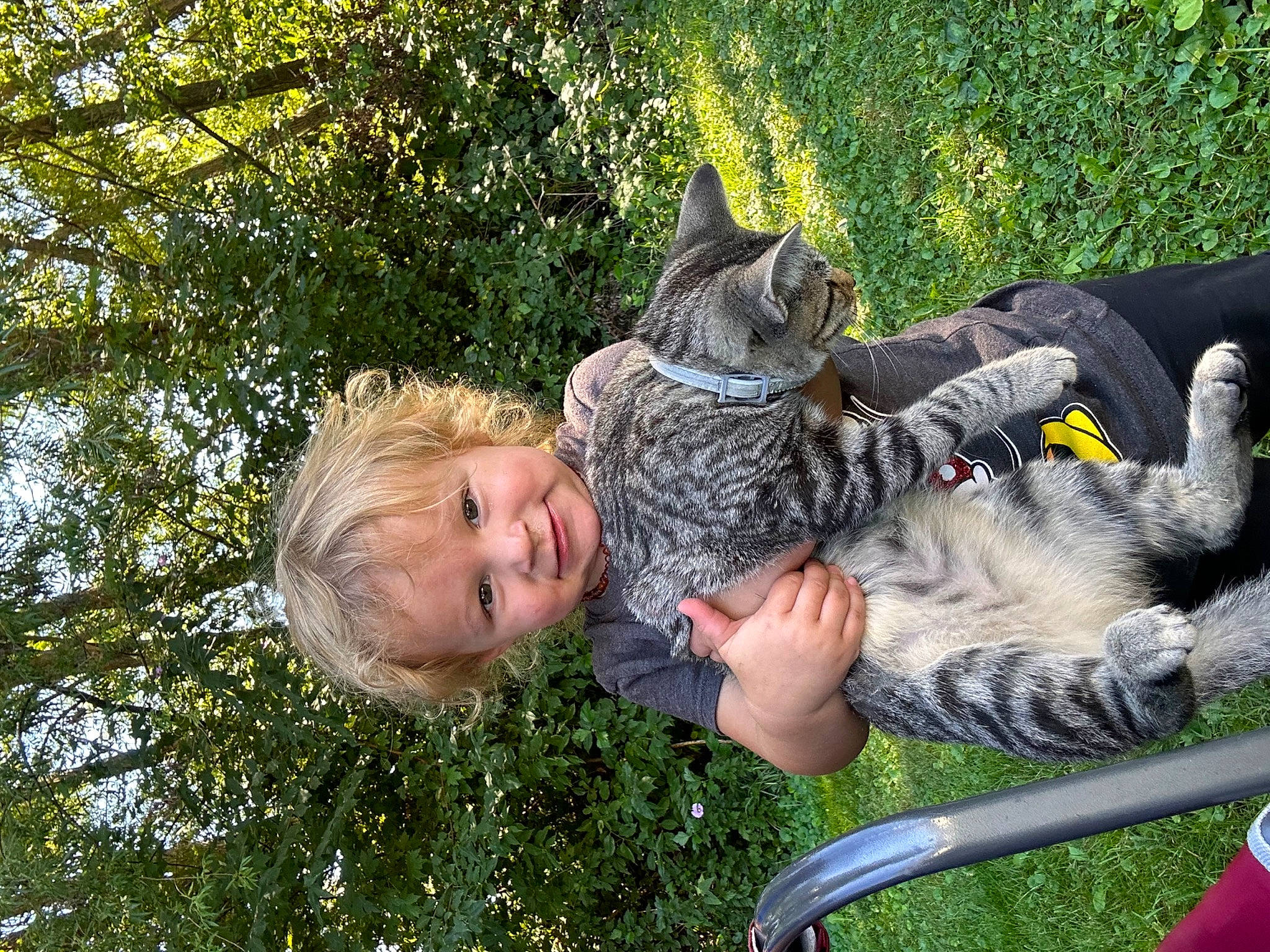 Laken is registered to the contest to win money with this photo: canidae, carnivore, cat, domestic_short_haired_cat, felidae, fun, fur, grass, happy, joy, leisure, people_in_nature, person, sitting, small_to_medium_sized_cats, smile, tail, toddler, tree, whiskers