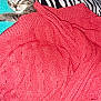 animal, blanket, cat, comfort, couch, cozy, cute, feline, fur, indoor, kitten, nap, pet, pillow, red, relaxed, resting, sleeping, soft, zebra_stripe