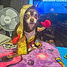 animal, blanket, boxing_gloves, champion_tag, chihuahua, costume, cute, dog, fan, furniture, gold_robe, indoor, looking_at_camera, pet, pet_clothing, portrait, purple_blanket, room, small_dog, television