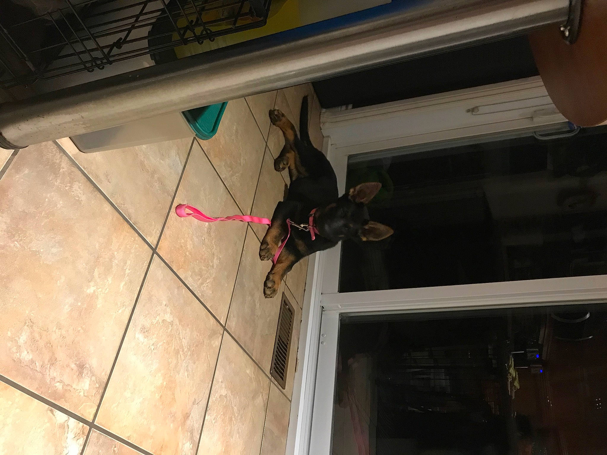 Abby a rejoint le concours — aidez-le/la à gagner de superbes lots ! adventure, ceiling, concrete, daylighting, electrical_wiring, floor, flooring, fun, glass, hardwood, metal, recreation, room, shadow, space, tile, window, wing, wood