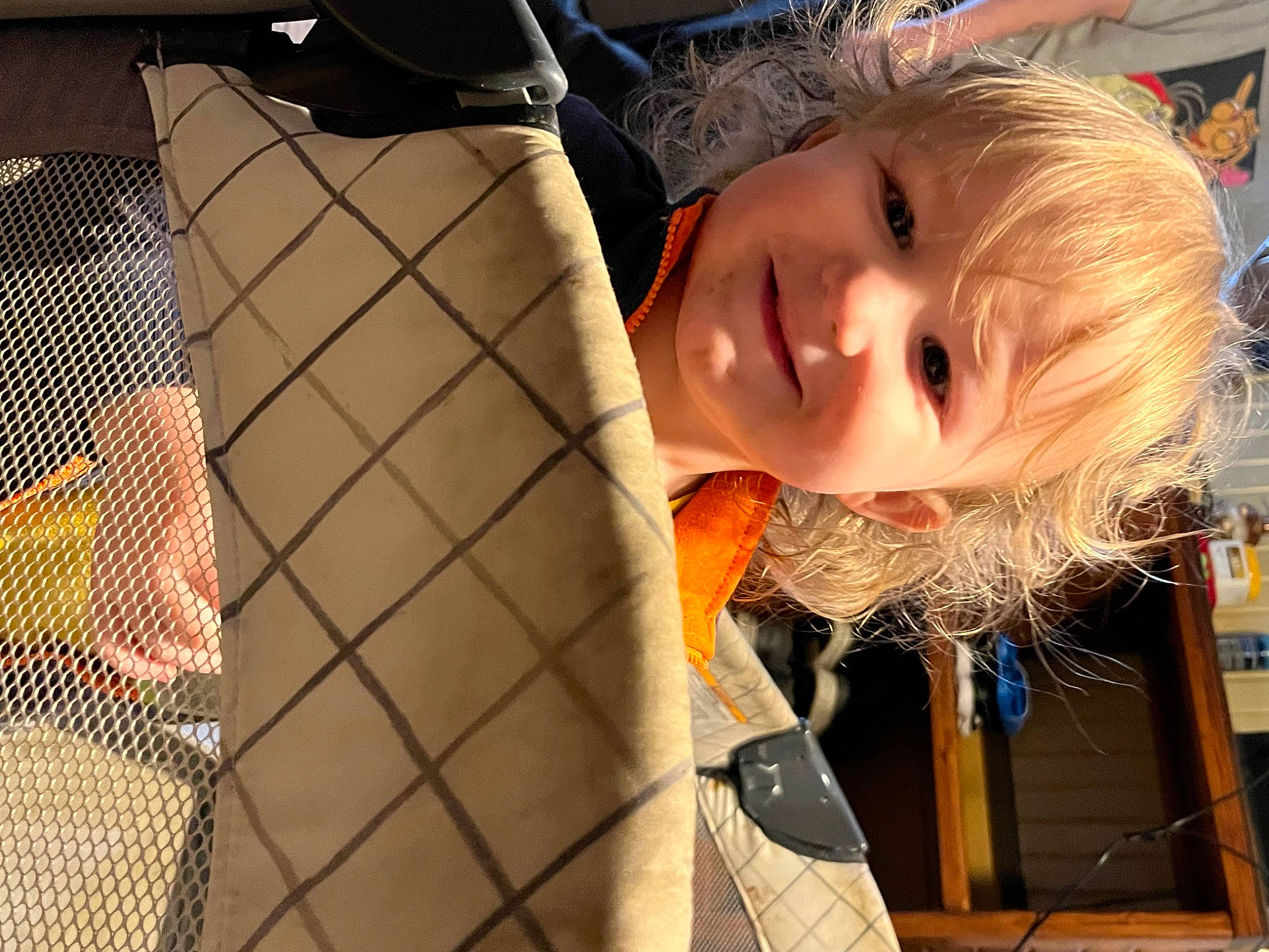 Kason is registered to the contest to win money with this photo: child, fun, happy, joy, leisure, mesh, net, pattern, person, portrait_photography, sitting, smile, toddler, tree