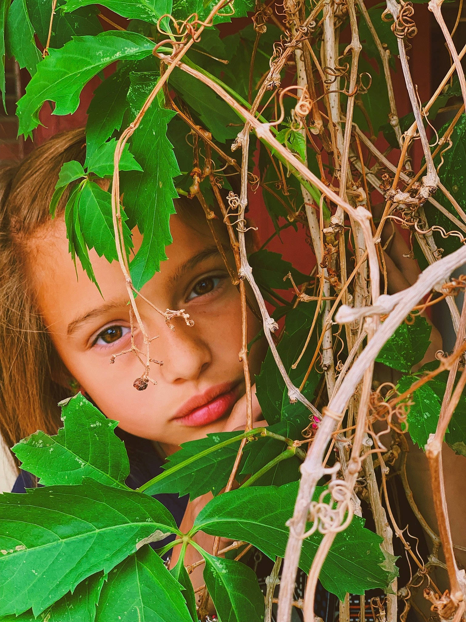 Kaelynn is registered to the contest to win money with this photo: adaptation, beauty, fawn, flower, green, leaf, people_in_nature, person, plant, skin, smile, tree