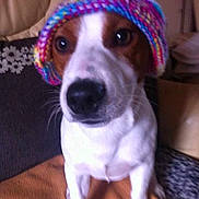 HUGO a rejoint le concours — aidez-le/la à gagner de superbes lots !