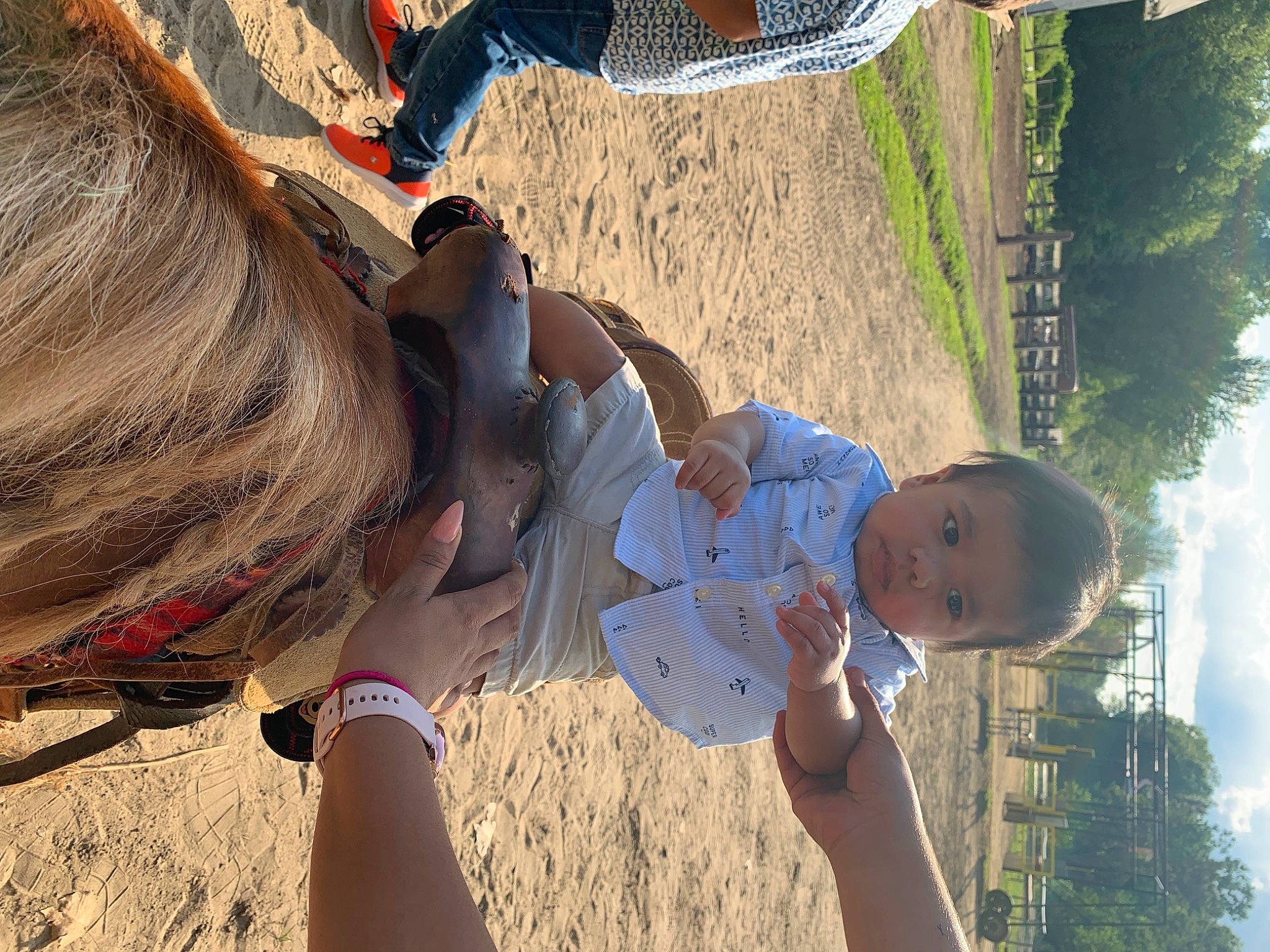 Hector joined the competition — help win amazing prizes! fun, person, tree