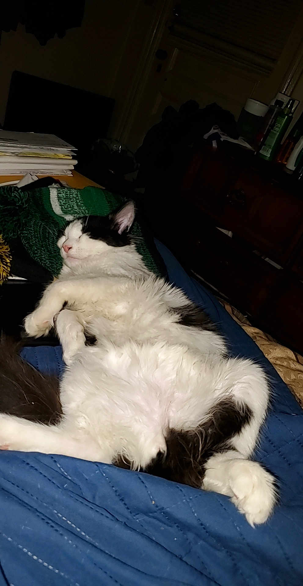 Tyson