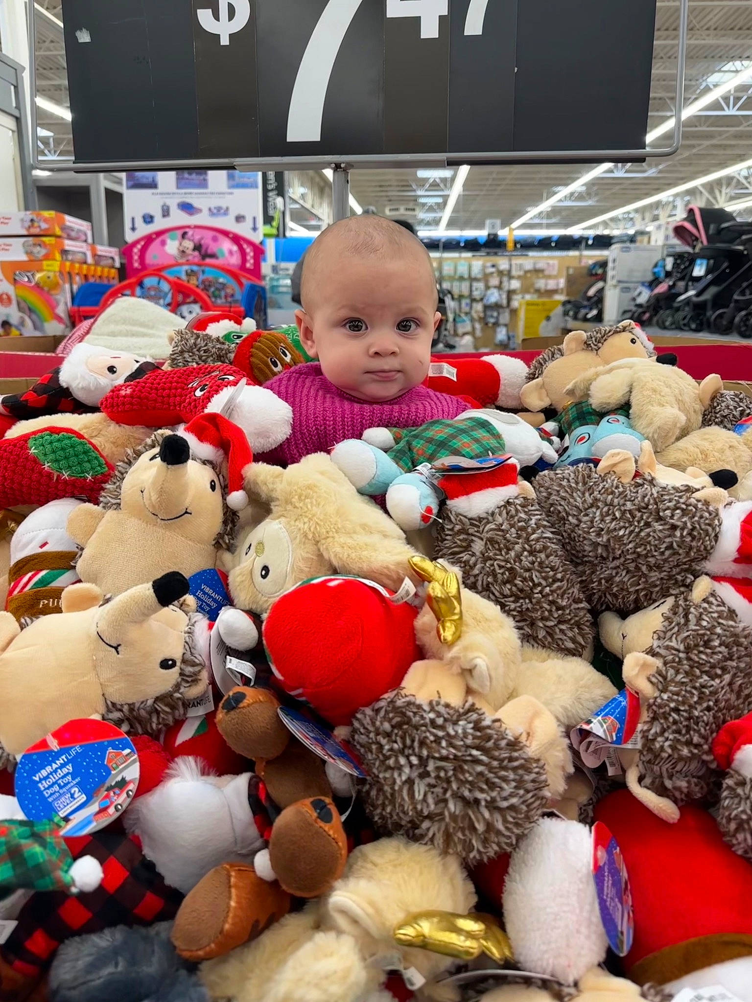 Nina is registered to the contest to win money with this photo: baby_toys, carmine, child, collection, crowd, event, fun, fur, headgear, market, person, plastic, plush, stuffed_toy, teddy_bear, textile, toddler, toy, white, wool