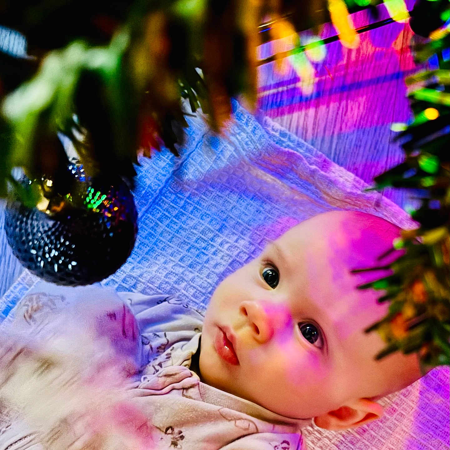 Summer-Rose joined the competition — help win amazing prizes! baby, blanket, christmas_tree, closeup, clothing, colorful_lights, curious, cute, decoration, eyes, face, festive, holiday, holiday_lighting, indoors, infant, ornament, person, portrait, soft_texture