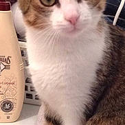 Chanel participe au concours pour gagner de l'argent avec cette photo :