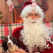 Ruby joined the competition — help win amazing prizes! santa_claus, dog, person, christmas, holiday, wreath, stockings, fireplace, plaid, couch, red_clothing, white_beard, glasses, festive, decorations, candles, fur, sitting, indoor, hand