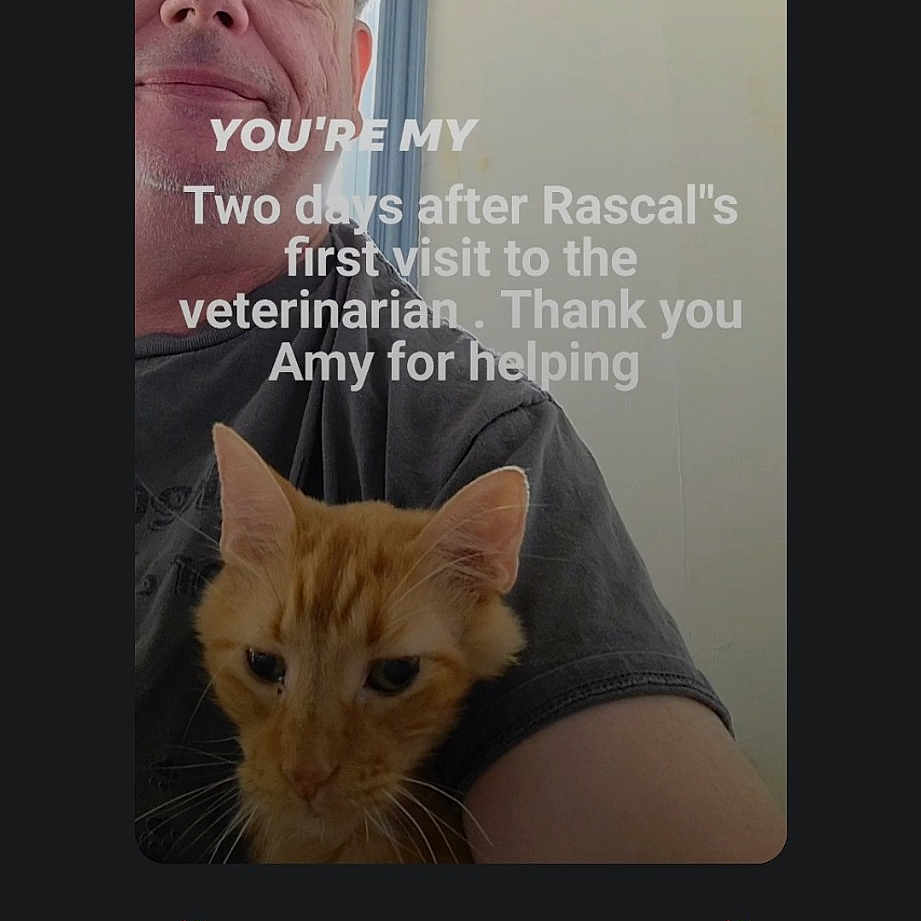 Rascal