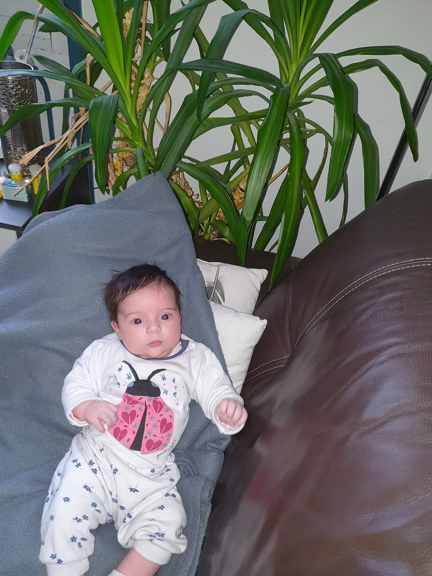 Letna a rejoint le concours — aidez-le/la à gagner de superbes lots ! arecales, baby, baby_toddler_clothing, child, comfort, couch, fun, grass, happy, houseplant, leaf, leisure, person, plant, sitting, skin, t_shirt, terrestrial_plant, textile, toddler