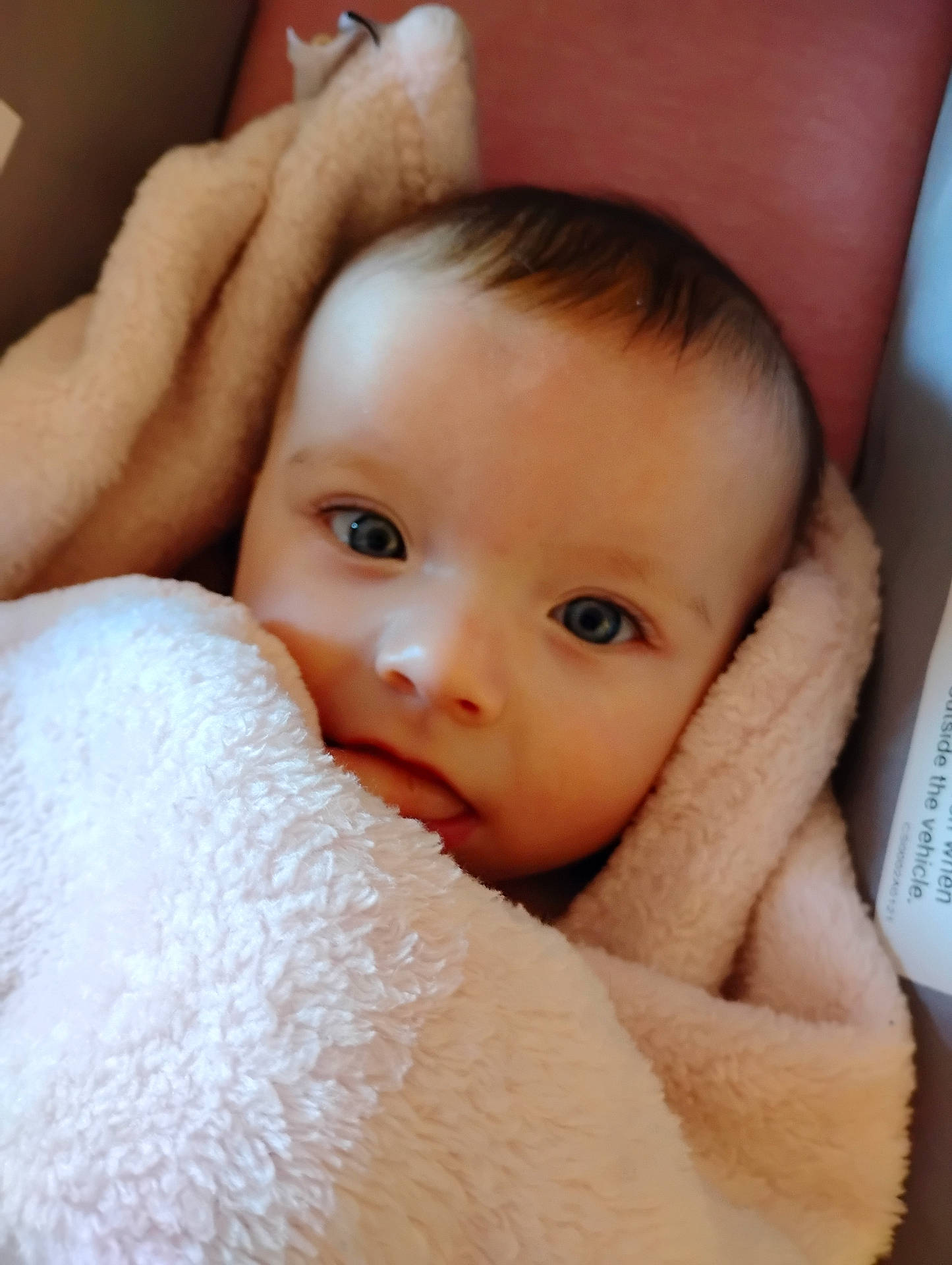 River joined the competition — help win amazing prizes! baby, blanket, bodypart, face, finger, furniture, hand, happy, head, newborn, person, photography, portrait, quilt, smile, towel