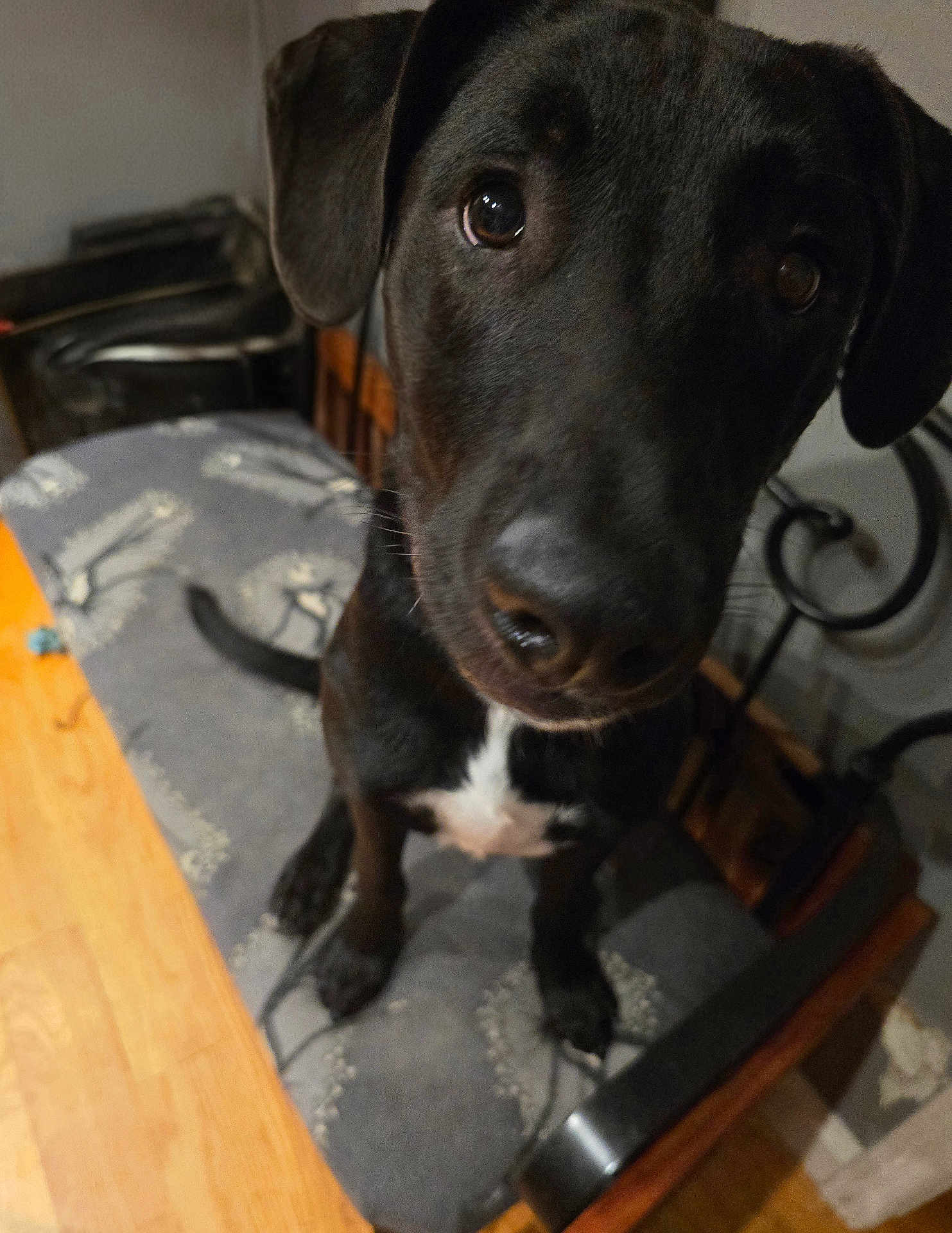 Hudson