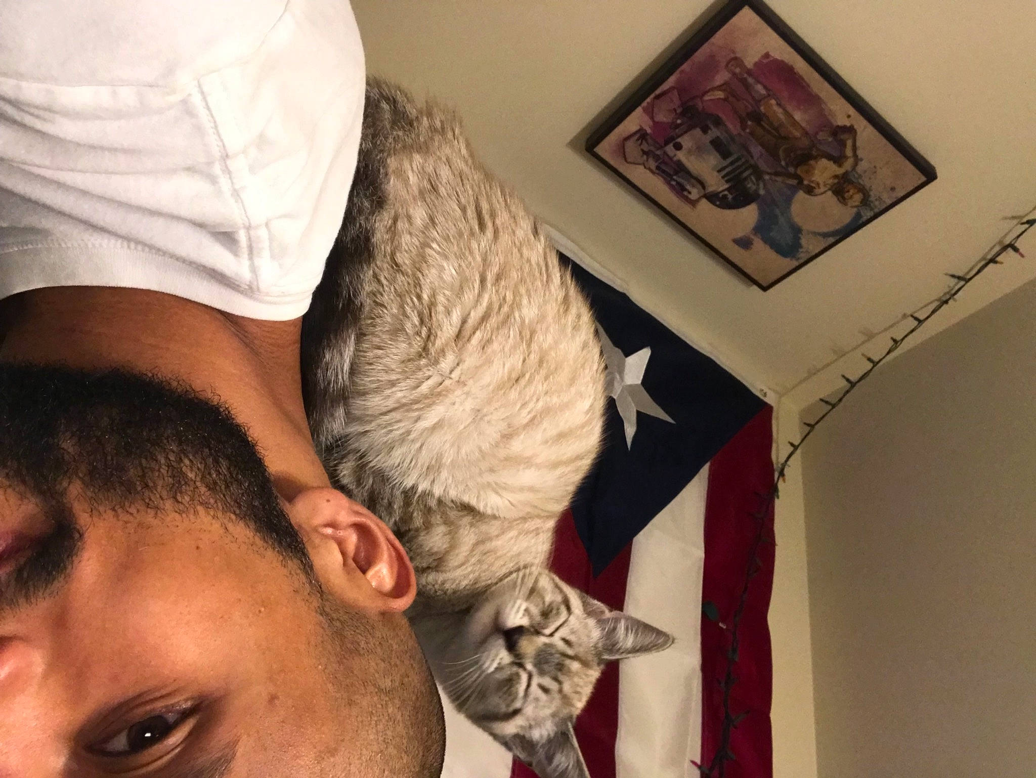 Truly is registered to the contest to win money with this photo: beard, chin, ear, eyebrow, eyelash, eyewear, facial_hair, fashion_accessory, flesh, forehead, gesture, hat, jaw, moustache, neck, organ, picture_frame, room, selfie, wood