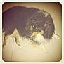 Marco participe au concours pour gagner de l'argent avec cette photo :