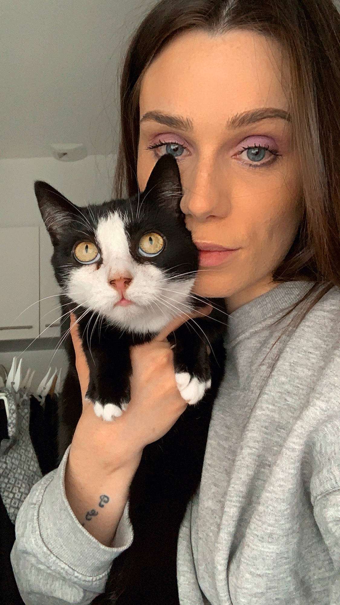 Lili a rejoint le concours — aidez-le/la à gagner de superbes lots ! carnivore, cat, clothing, ear, eye, eyebrow, eyelash, felidae, flash_photography, gesture, hair, hand, head, iris, neck, nose, organ, skin, small_to_medium_sized_cats, whiskers