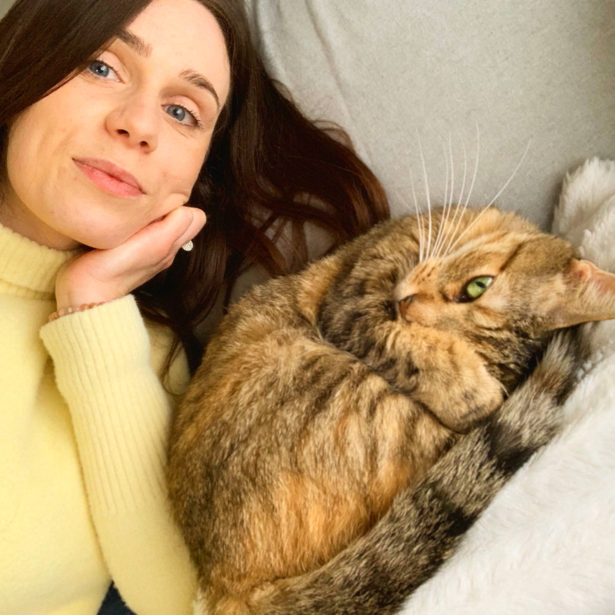 Pipounette a rejoint le concours — aidez-le/la à gagner de superbes lots ! brown_hair, carnivore, cat, comfort, couch, domestic_short_haired_cat, ear, eye, eyelash, felidae, fur, gesture, hair, happy, head, nose, skin, small_to_medium_sized_cats, snout, whiskers