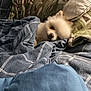 dog, blanket, bed, pillow, cozy, resting, fluffy, white_dog, indoor, sleepy, comfort, pet, fur, patterned, fabric, relaxation, domestic, cute, small_dog, canine