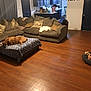 Cash joined the competition — help win amazing prizes! brown, carnivore, comfort, couch, dog, floor, flooring, furniture, grey, hardwood, interior_design, laminate_flooring, lamp, living_room, mammal, picture_frame, pillow, sofa_bed, studio_couch, wood
