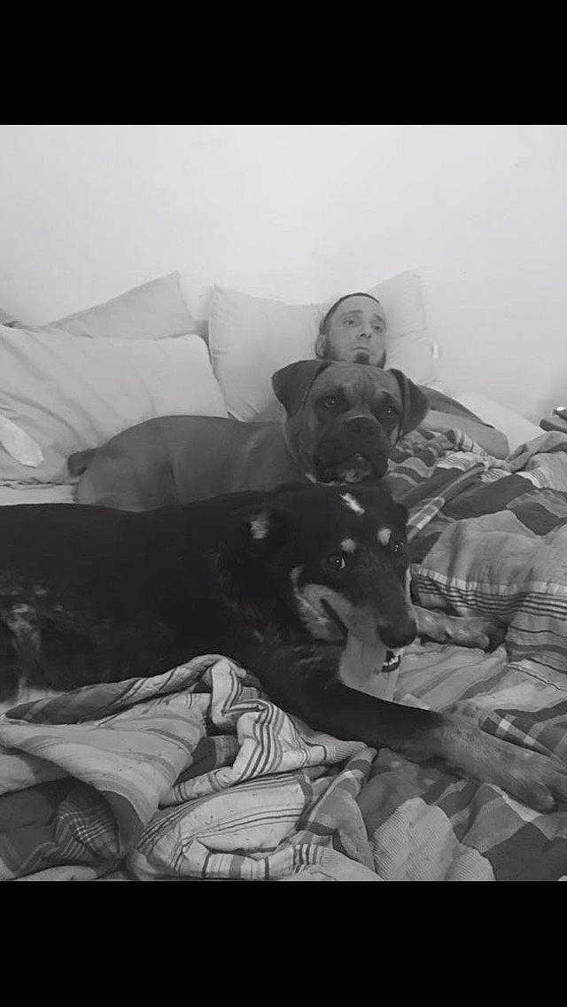 Cash is registered to the contest to win money with this photo: bedding, black_and_white, canidae, carnivore, child, comfort, companion_dog, couch, dog, dog_breed, grey, linens, monochrome, monochrome_photography, pillow, room, sitting, style, tints_and_shades, vintage_clothing