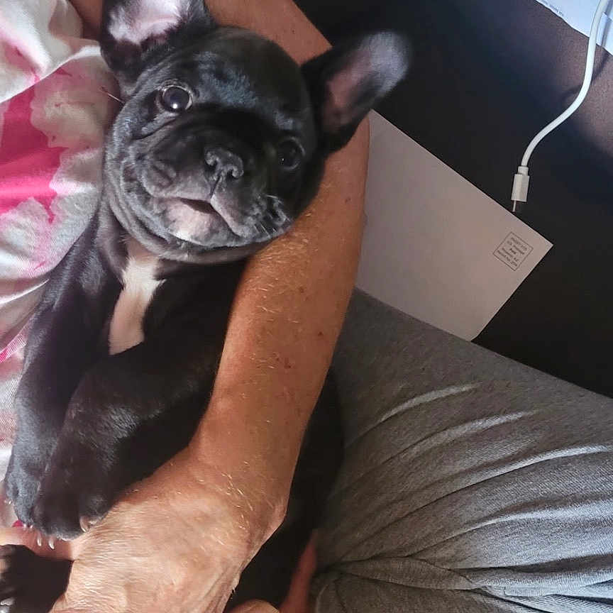 Baby