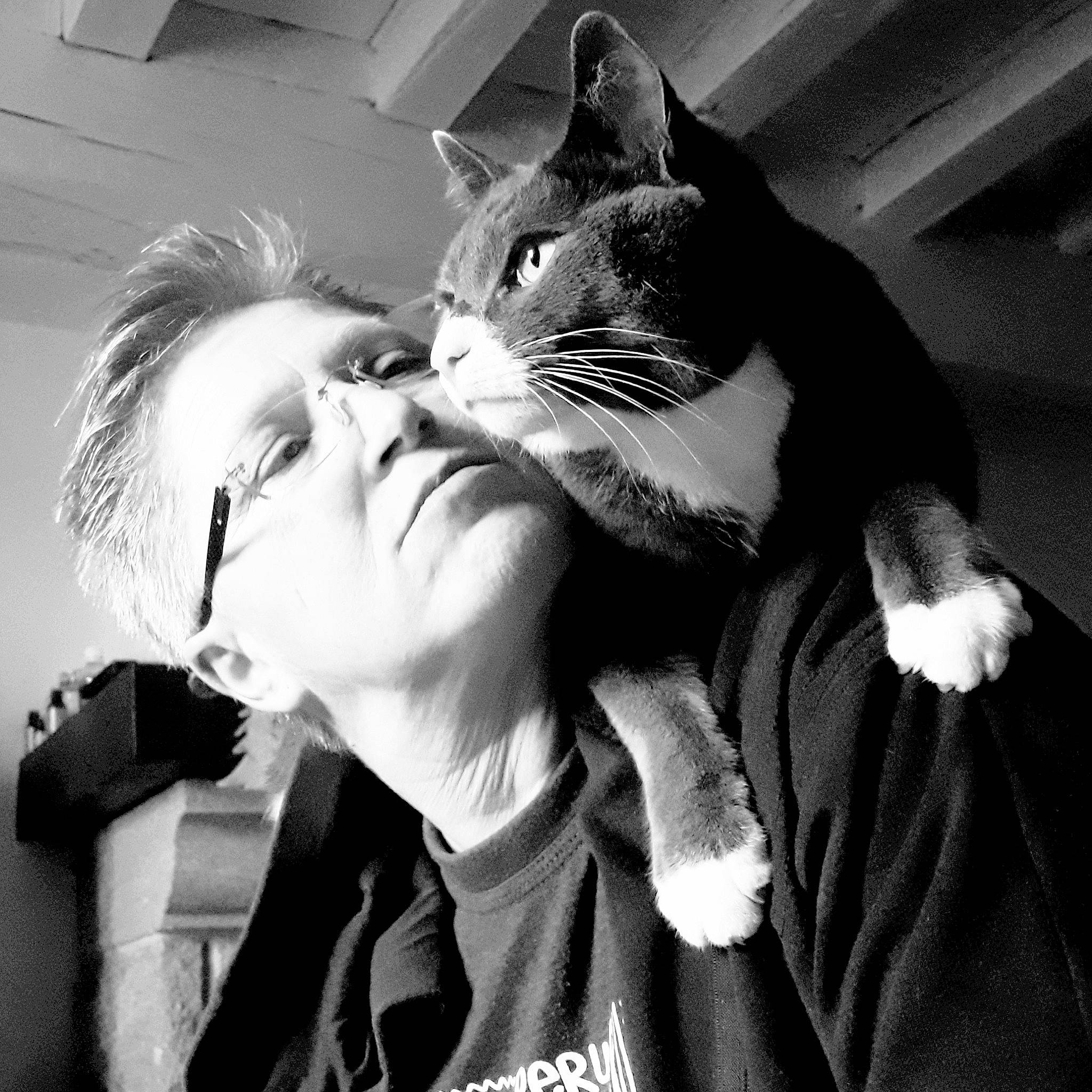 Patate participe au concours pour gagner de l'argent avec cette photo : black, black_and_white, carnivore, cat, comfort, eyewear, felidae, flash_photography, gesture, happy, jaw, mammal, monochrome, monochrome_photography, small_to_medium_sized_cats, snapshot, style, vertebrate, whiskers, white