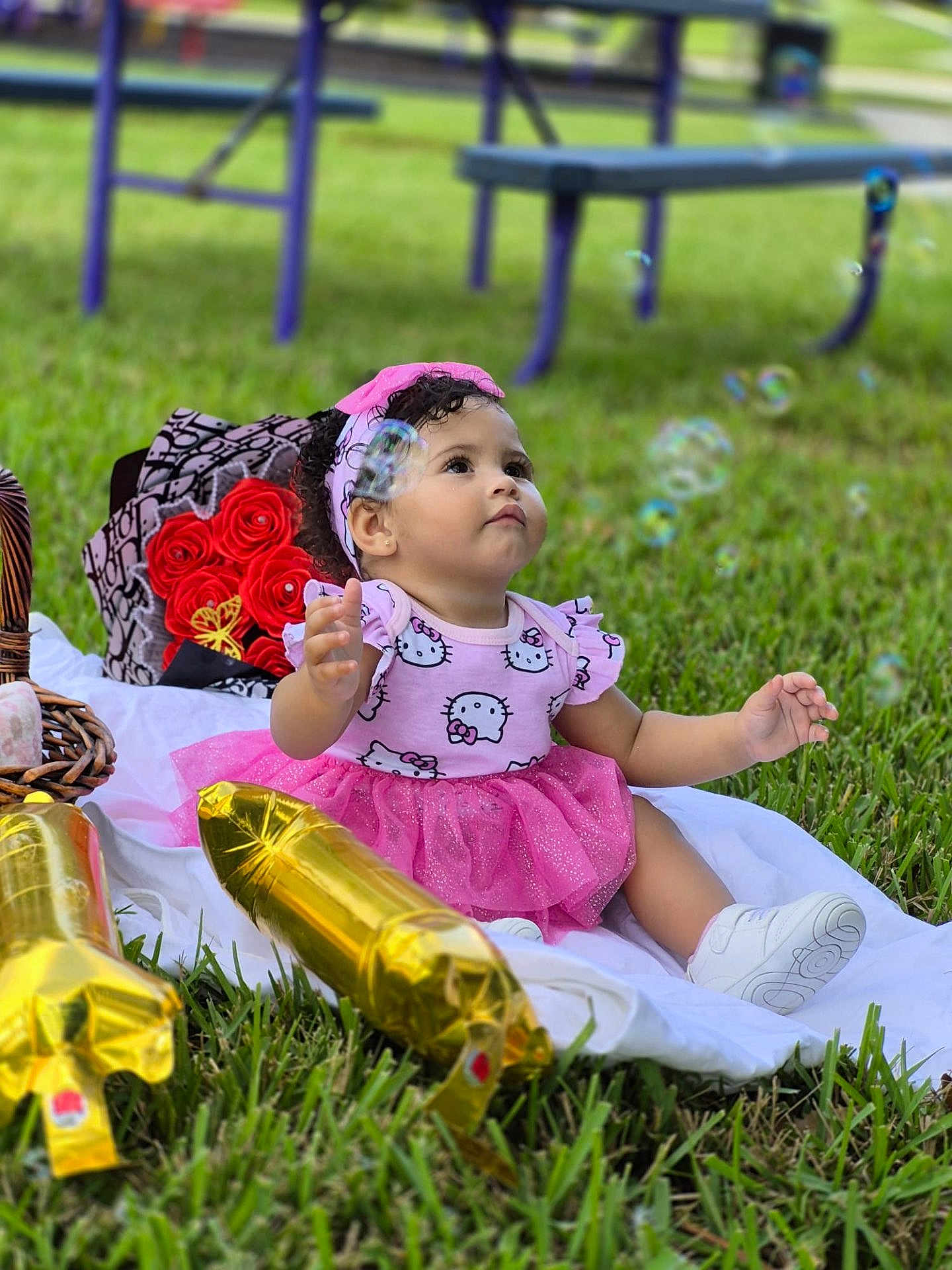 Cataleya is registered to the contest to win money with this photo: toddler, girl, pink_dress, hello_kitty, headband, bubbles, grass, blanket, balloons, gold_balloon, roses, bouquet, park, outdoor, sneakers, curly_hair, cute, child, sitting, playful