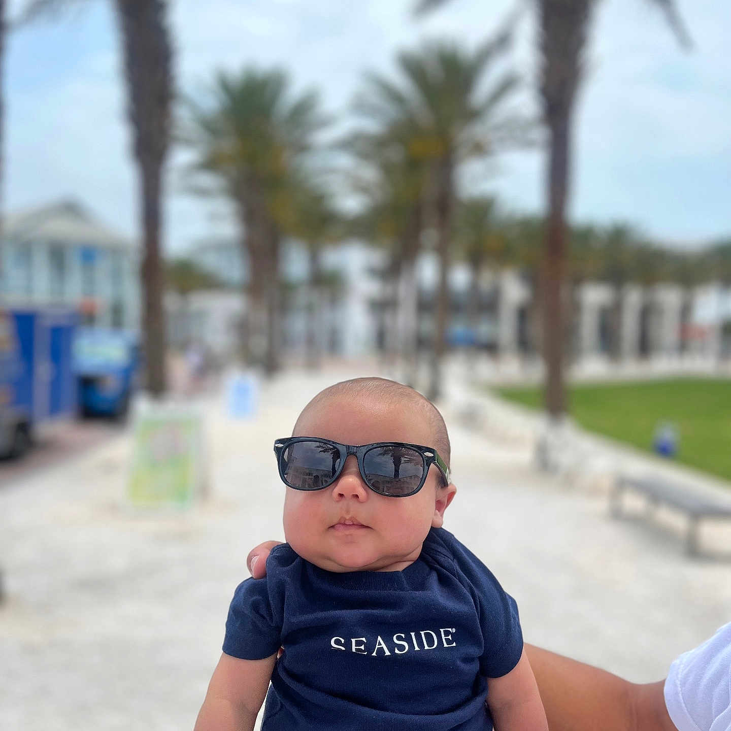 Asher is registered to the contest to win money with this photo: accessories, baby, city, clothing, face, glasses, head, palmtree, person, photography, plant, portrait, road, shorts, street, summer, sunglasses, t_shirt, tree, urban