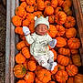 baby, newborn, pumpkins, orange, mittens, hat, clothing, cute, sleeping, autumn, fall, harvest, crate, outdoor, person, infant, seasonal, nature, small_pumpkins, soft