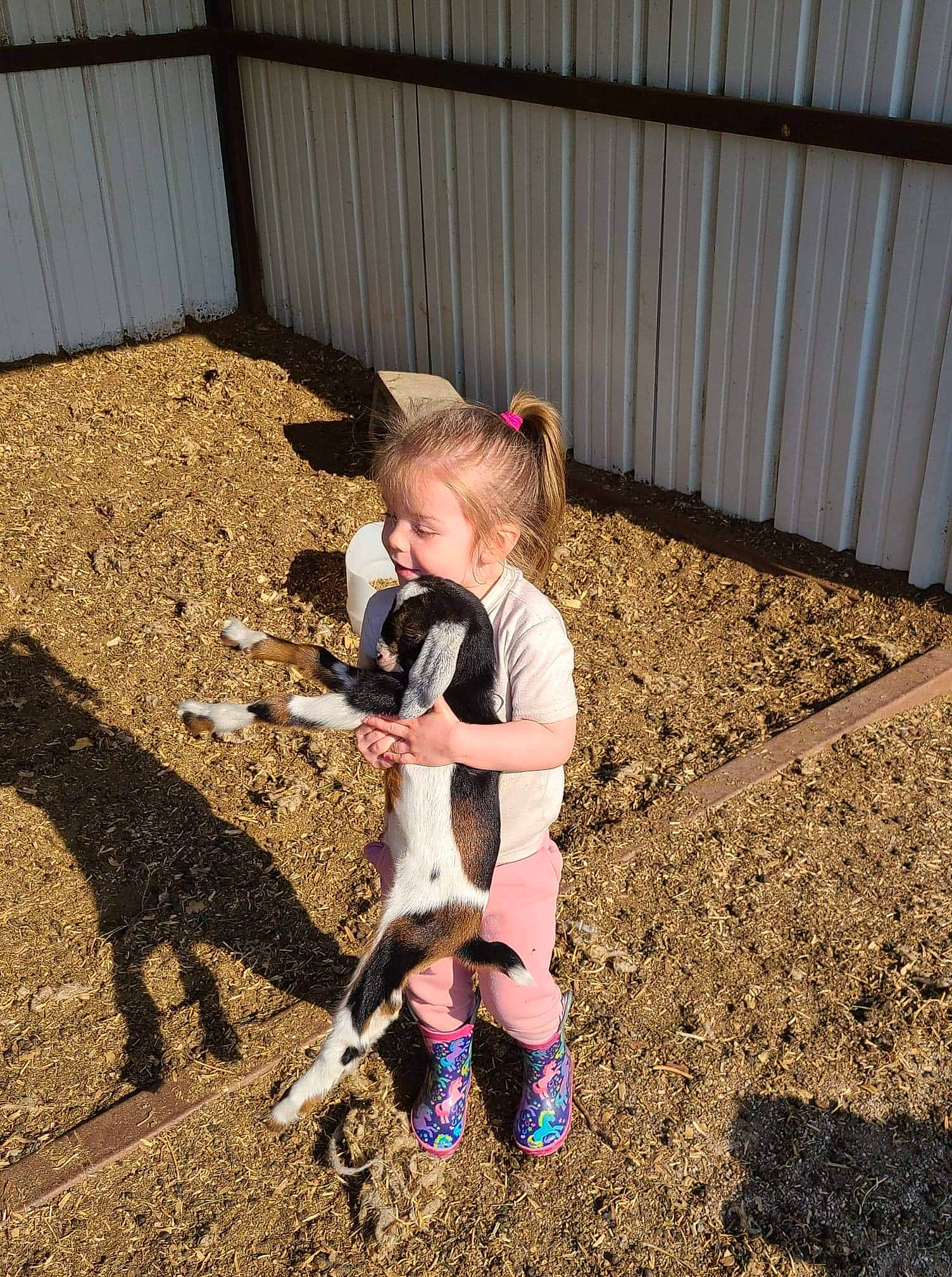 Everleigh is registered to the contest to win money with this photo: boot, fun, grass, happy, human_leg, knee, landscape, leg, leisure, outdoor_play_equipment, people_in_nature, person, recreation, sandal, sitting, sneakers, sock, soil, thigh, toddler